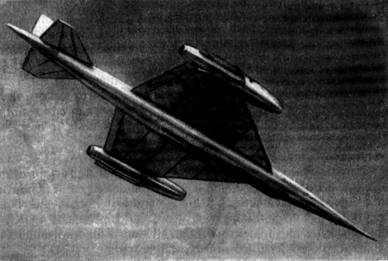 Экспериментальный самолет НМ-1